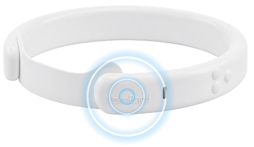 Clear, adjustable haptic pulses provide silent tempo guidance.
